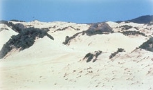 Aruba dunes