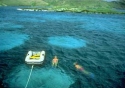 Diving Antigua